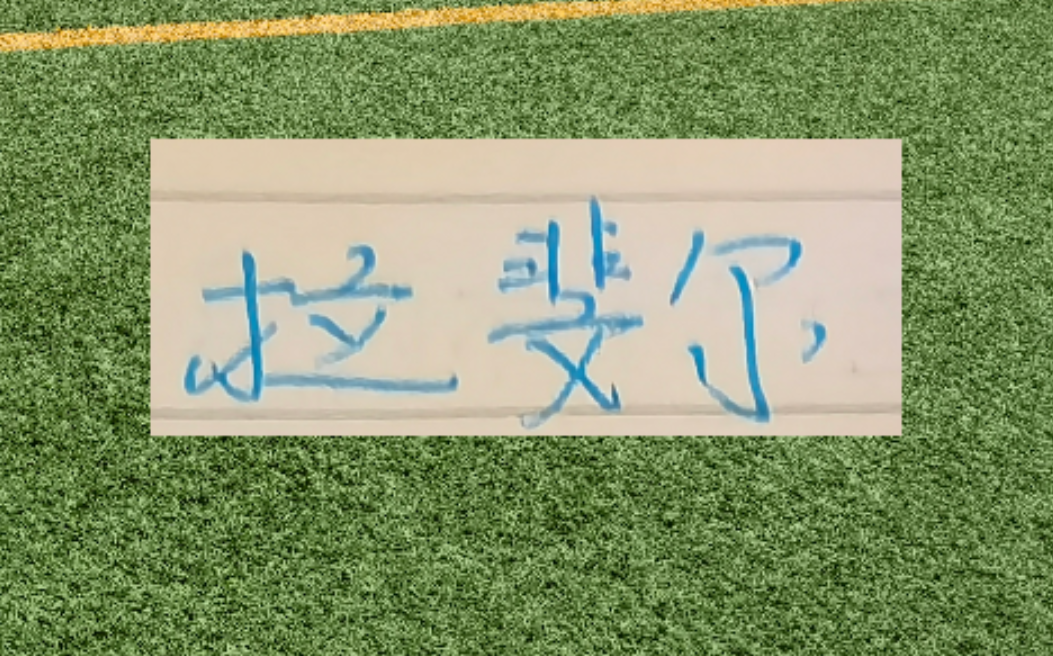 第一个赛季马莱莱进15个 路易斯21个 申花两条大鱼能进几个？